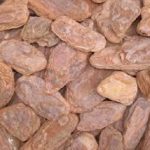 Fort Pedras – Casca de pinus trabalhada