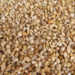 Fort Pedras – Seixo Rio Claro