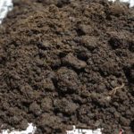 Fort Pedras Marilia – Húmus de minhoca